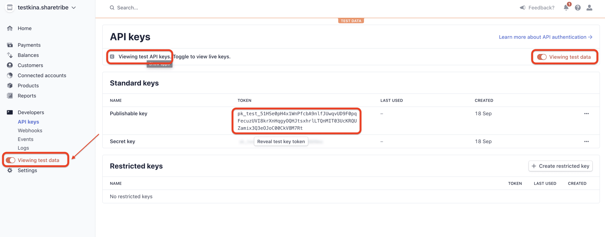 Stripe API Key-Stripe Power BI